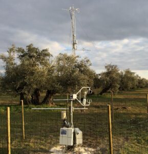 Flux tower